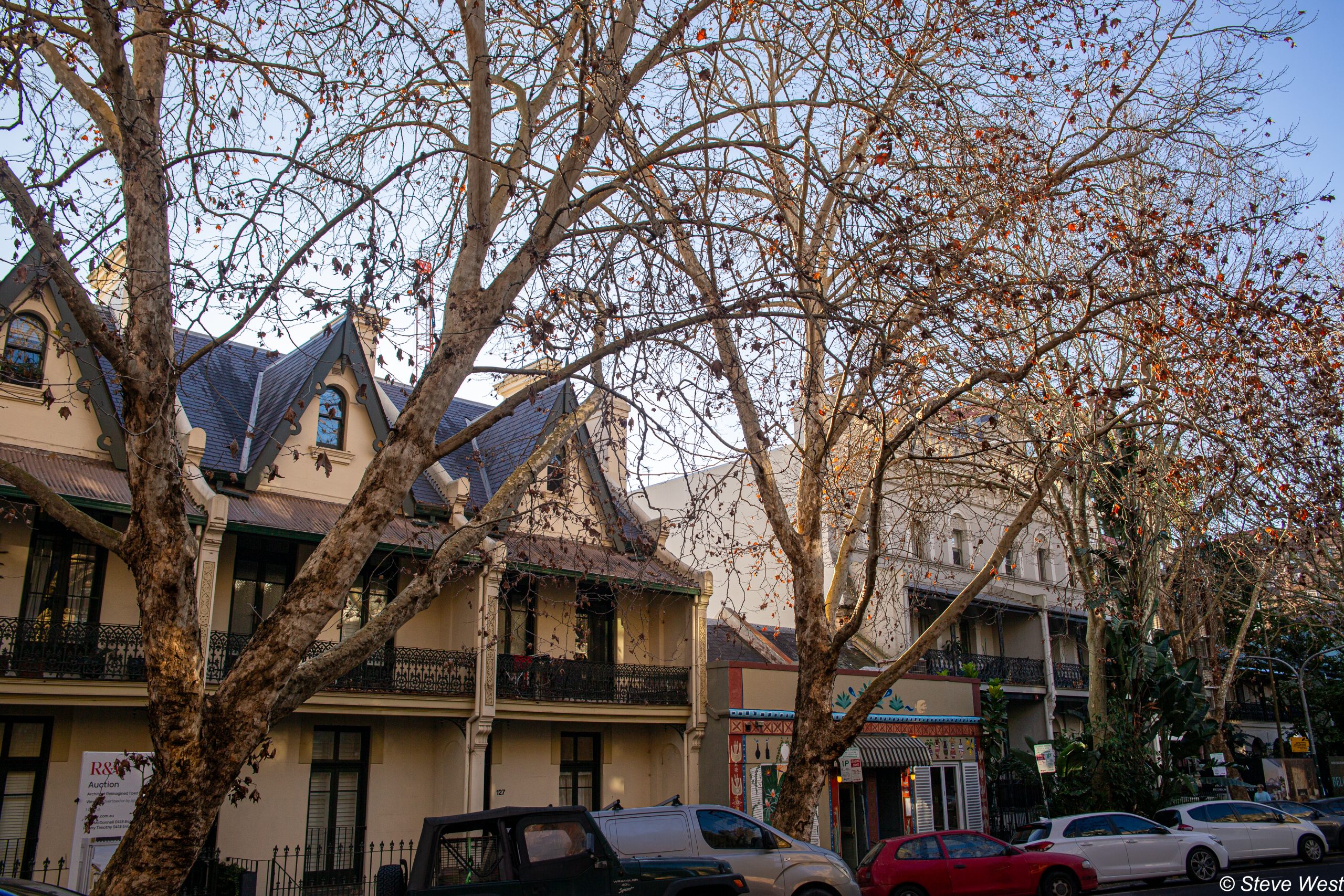 Potts Point July 2026